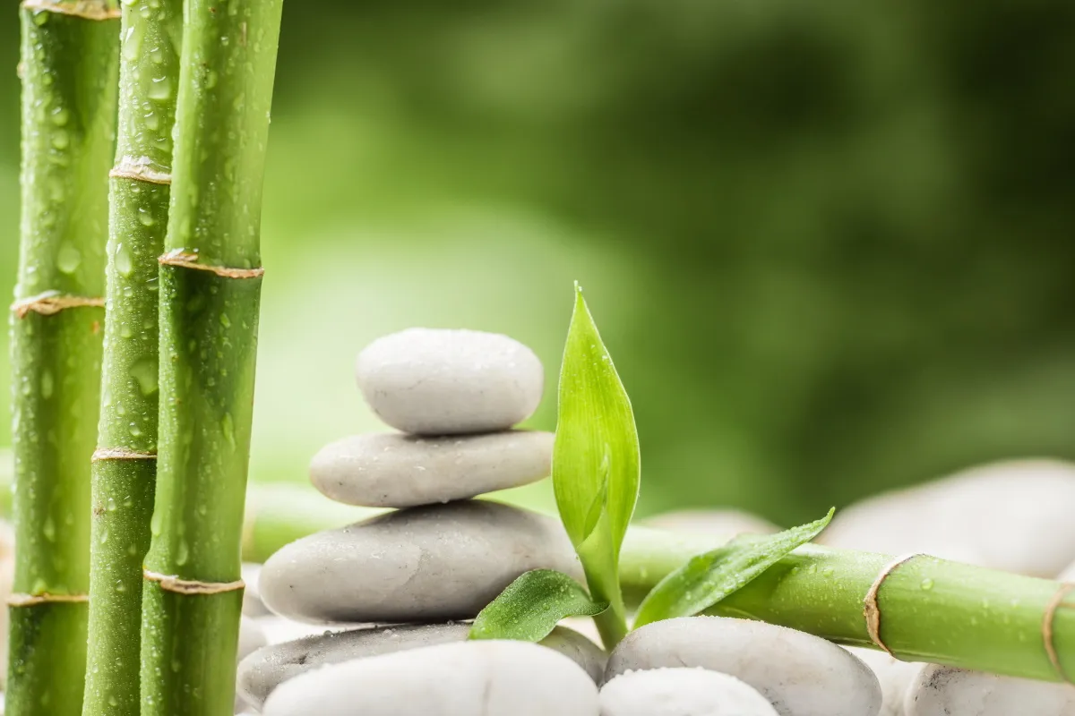  Zen-Basaltsteine und Bambus 