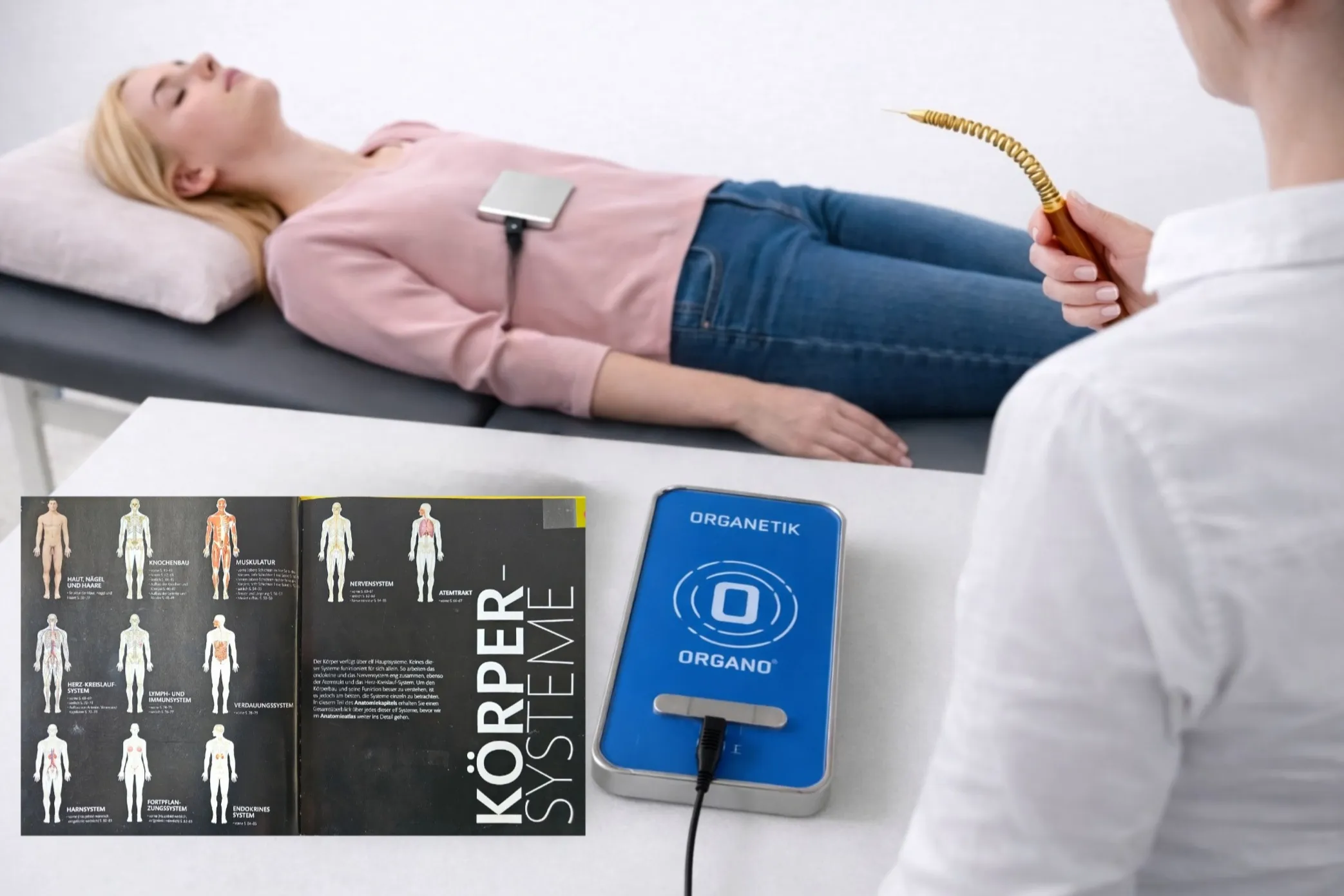 Regeneration und Verarbeitung