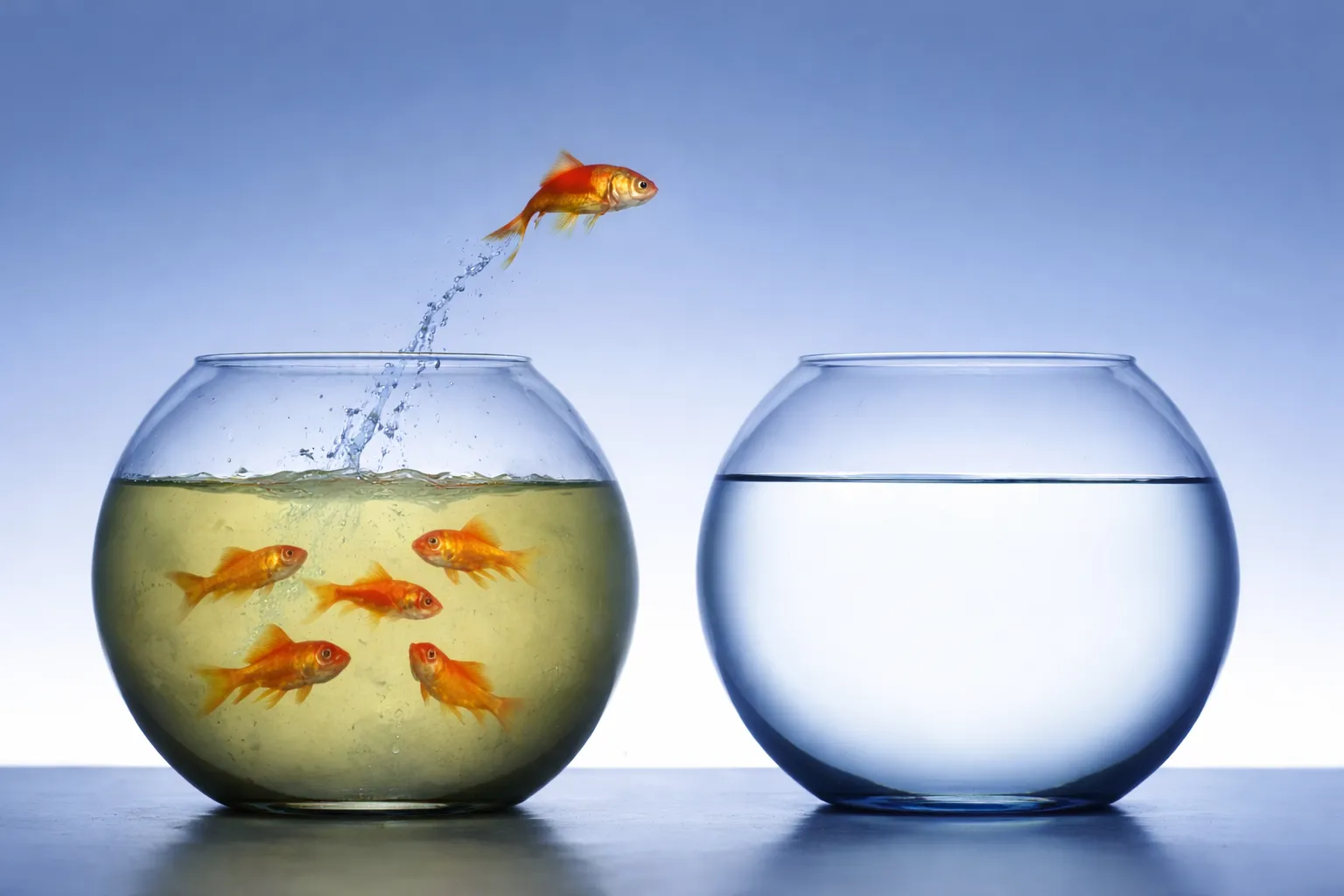 Regeneration und Verarbeitung